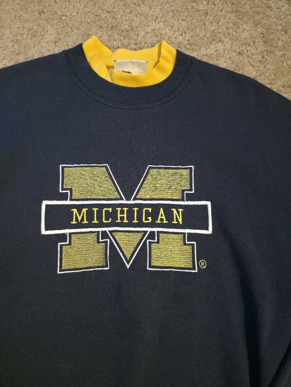 Michigan Wolverines - Picture 2 of 3